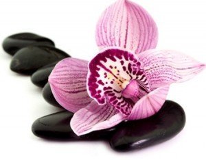 Fragrance oil for pour and melt soap Black Orchid